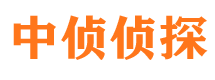 宁晋市婚外情调查